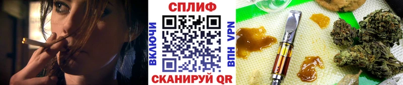 Канабис планчик  Купить закладки  Кудрово 